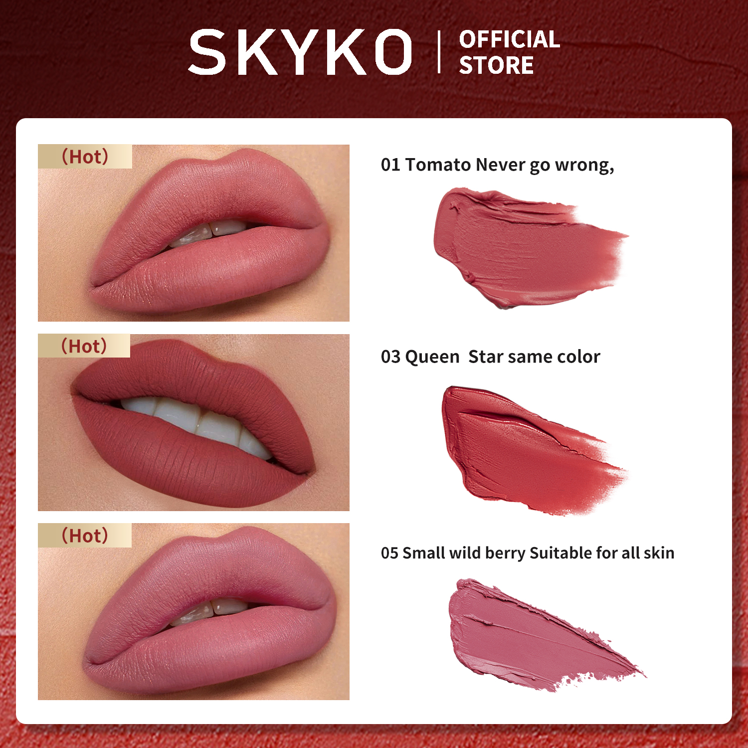 SKYKO Matte Lipstick Long Lasting Lipgloss - 6 Colors | Shopee Malaysia
