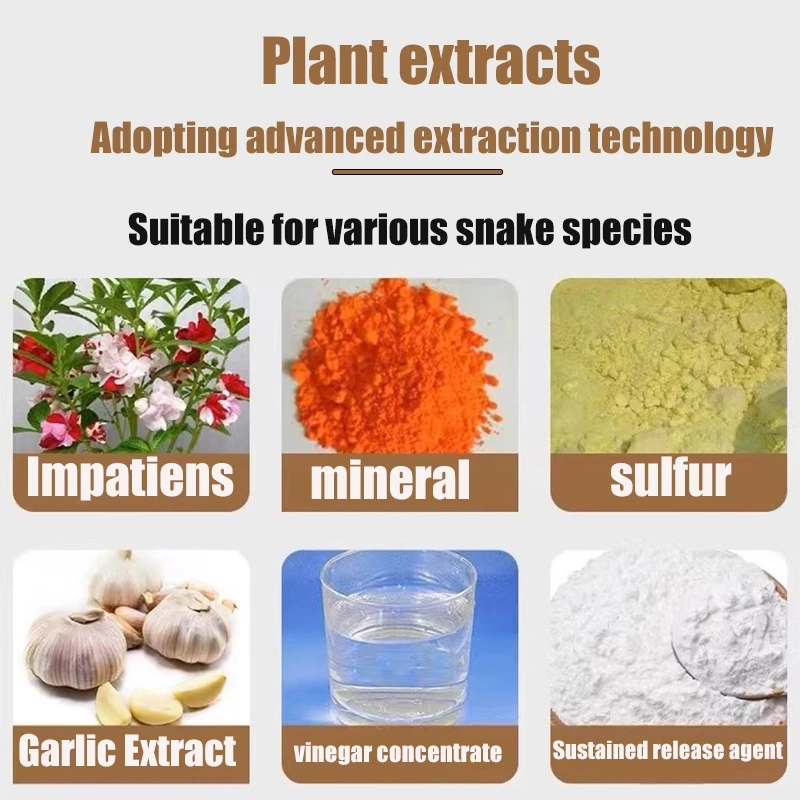 How To Meet The Nutritional Needs Of Your Snake Photo Inspiration
