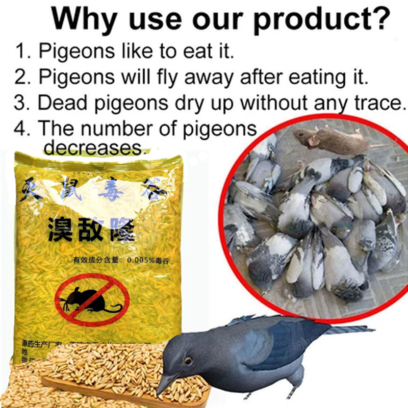 100 years without birds racun burung bird killer 500g Bird repellent ...
