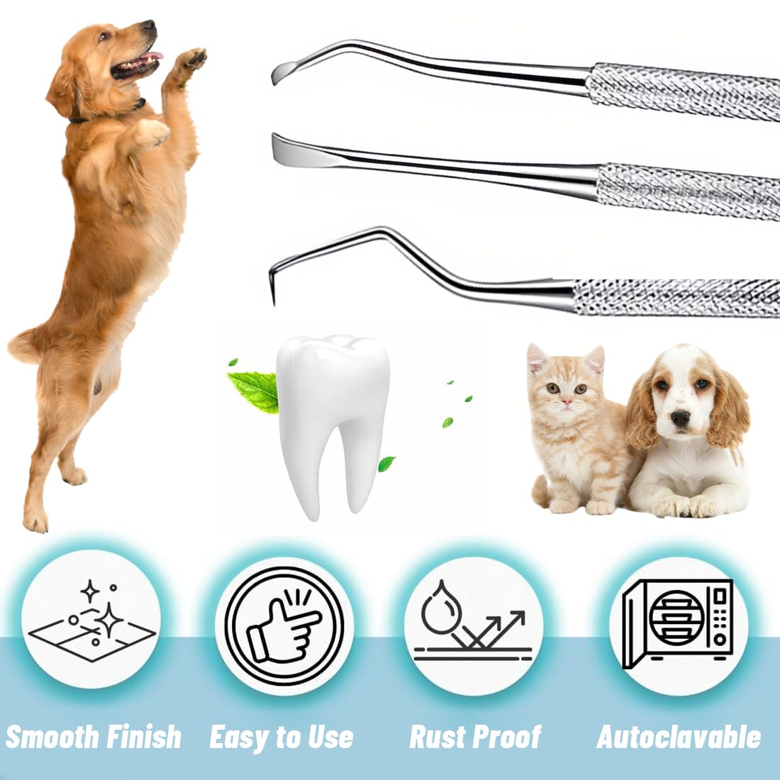 wingsbro Dog Teeth Cleaning Kit, Dog Dental Tooth Scaler and Scraper ...