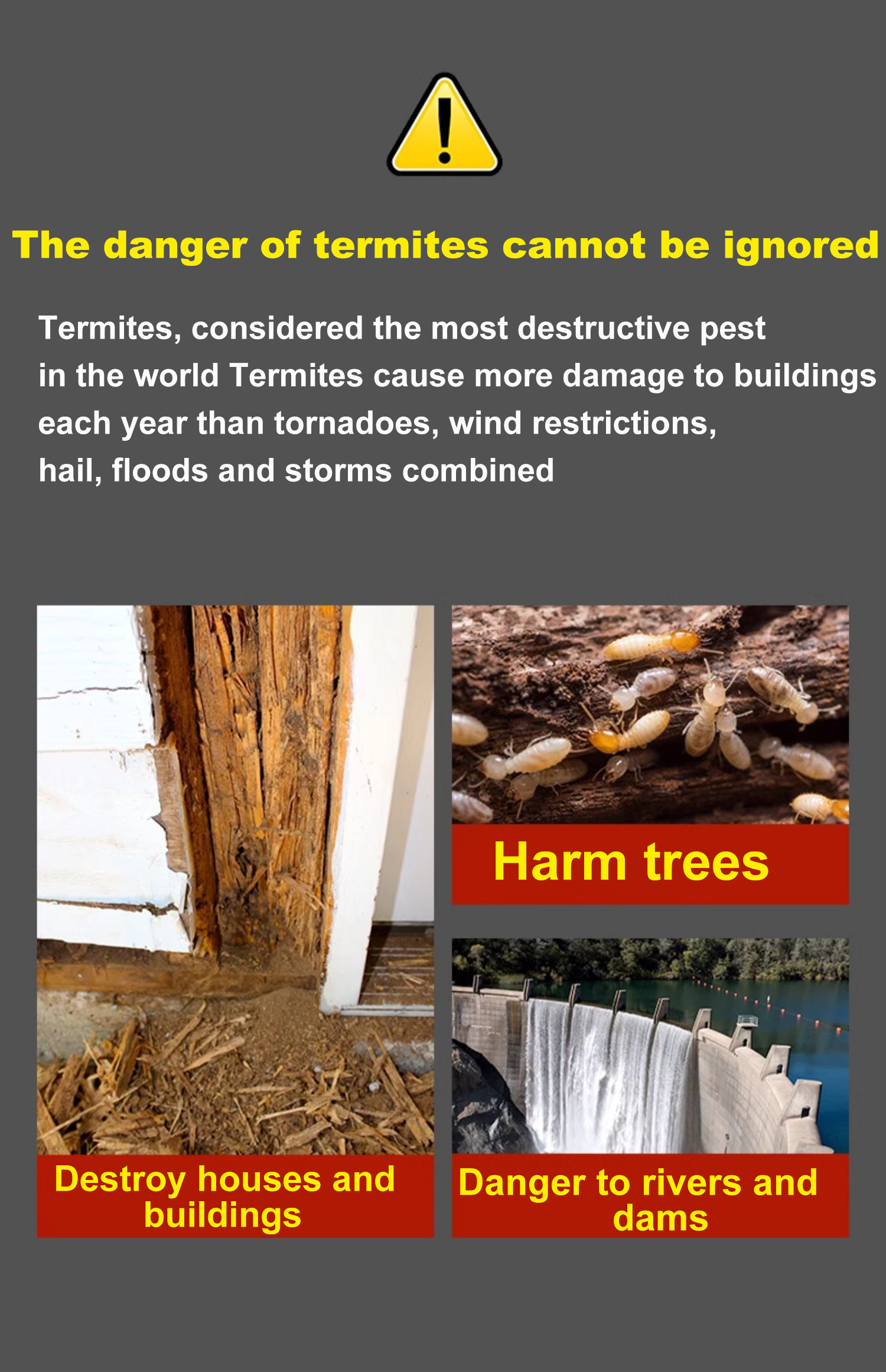 termite killing rate 100% Termite baiting system 20 years termite free ...