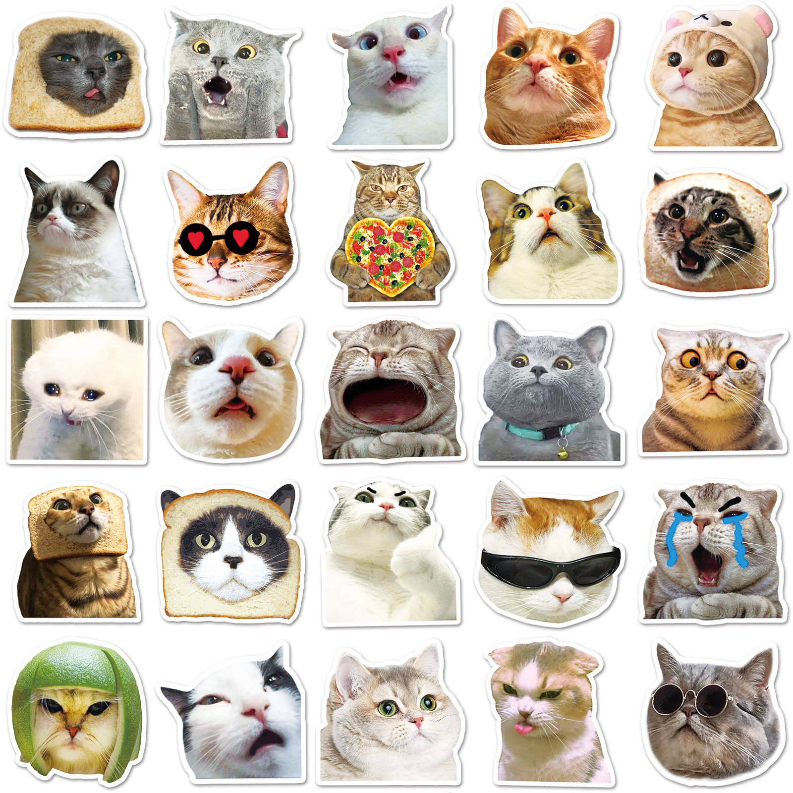50pcs Funny Animal Cat Meme Stickers Cute Decals PVC Phone Notebook Cup ...
