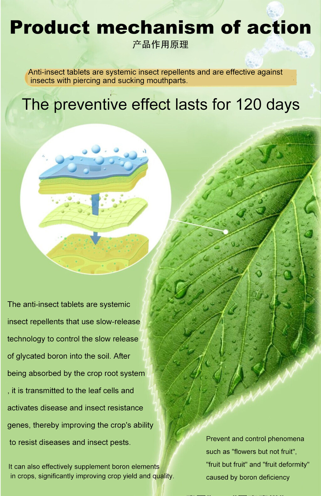 Kill insects in 1second racun serangga tanaman sayur No harm to plants ...