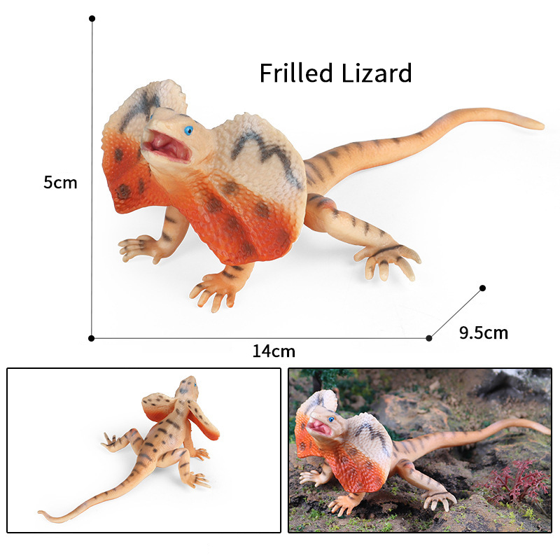 Simulation Frilled Lizard Reptile Model Children Science Educational ...