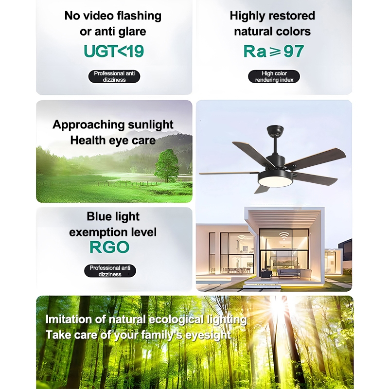 42/48/52 Inch Ceiling Fan With Light DC Motor 6 Speed 5 Blades Ceiling ...