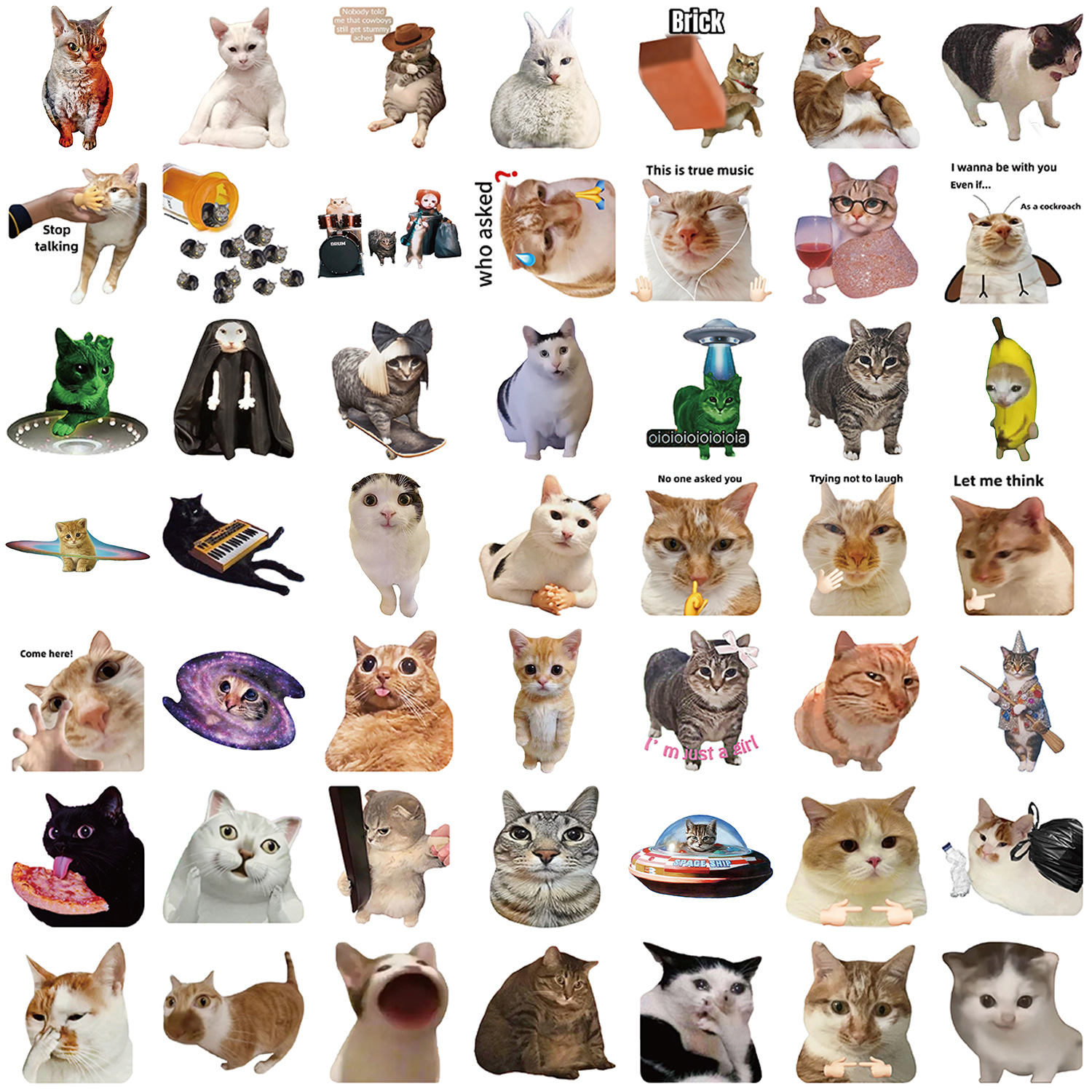 50PCS Funny Cat MEME Stickers Decals Kids Toys Laptop Phone Motorcycle ...