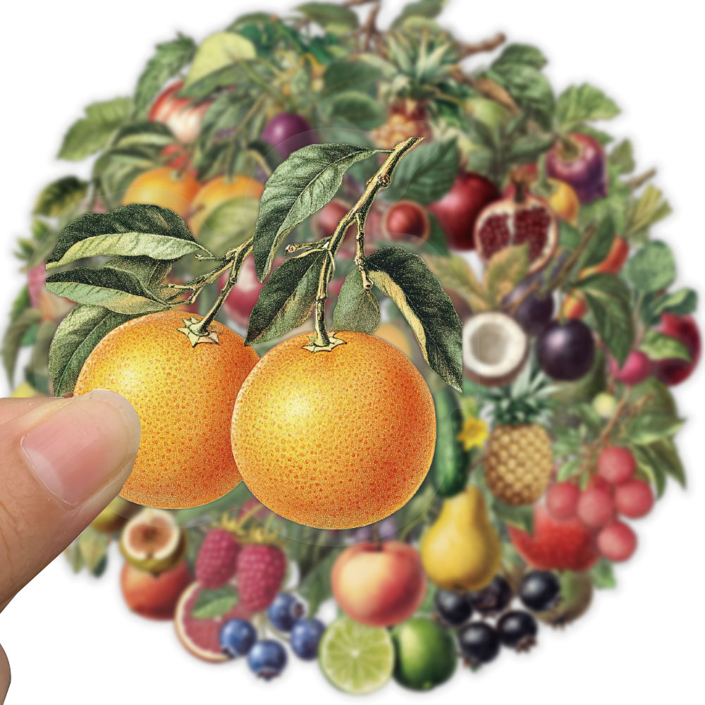 [Large Sticker]50pcs Vintage Fruits Stickers Transparent PET Decorative ...