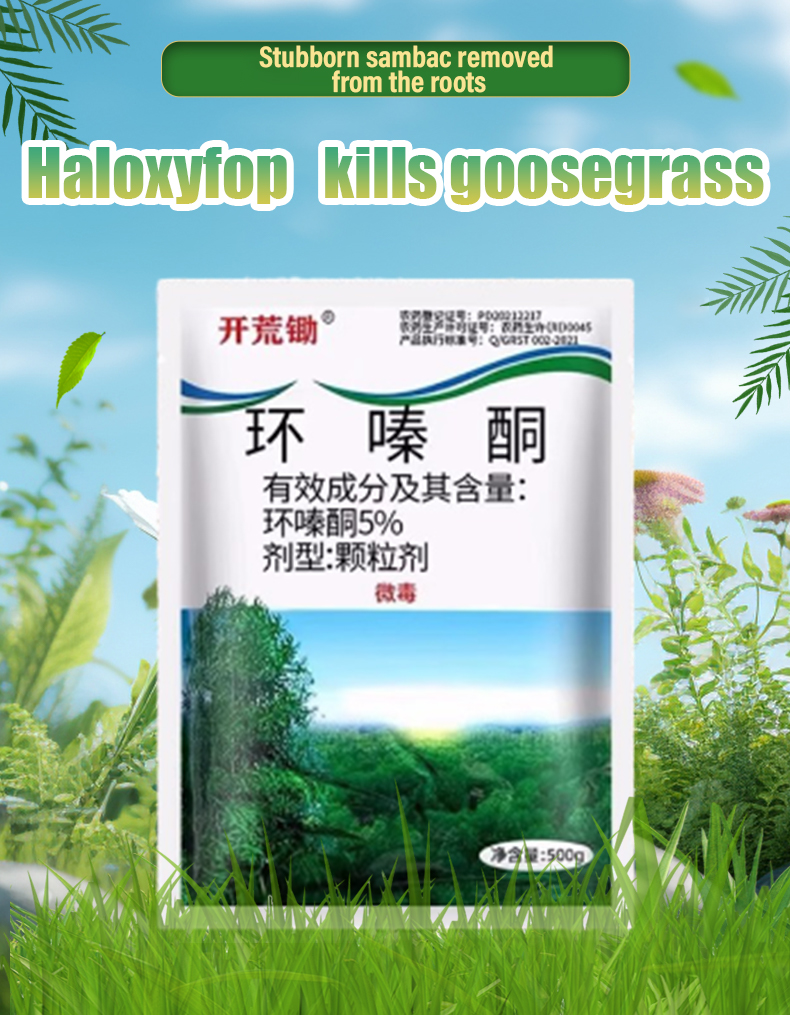 EzLife Racun Tabur Racun pokok kelapa Rumput Weed Control Land ...