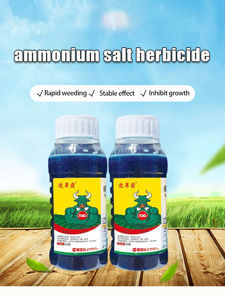 No weeds for 10 years！！BL Weed killer racun rumput Racun paraquat ...