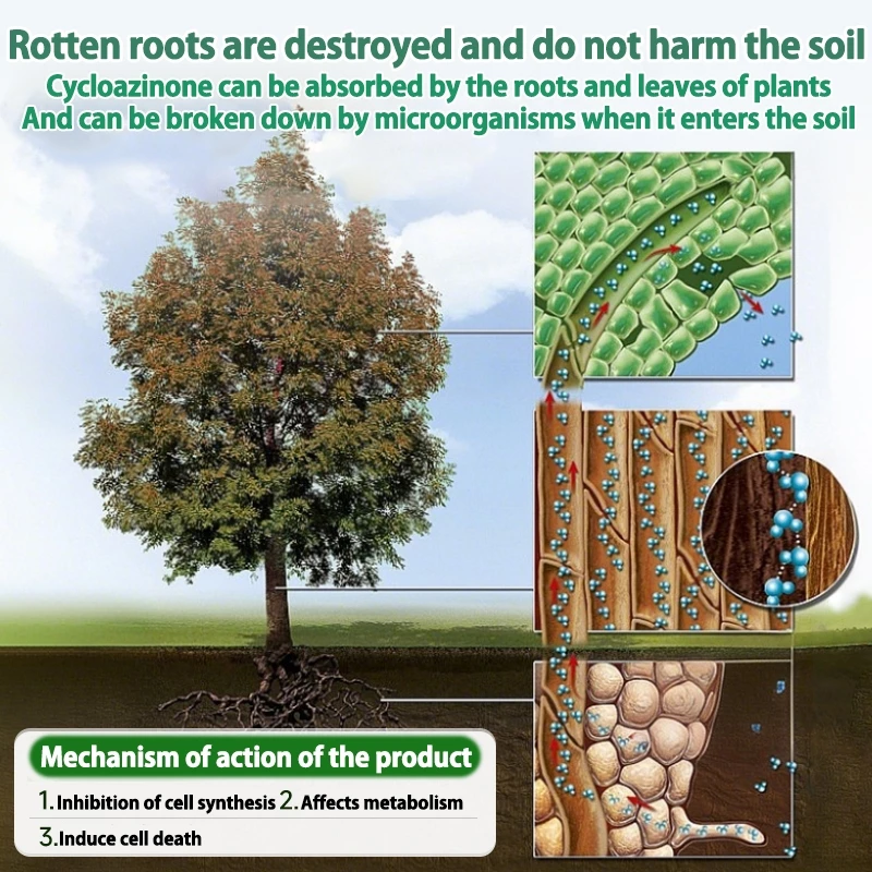 100% effective The roots rotted in 1 day,rotten roots tree killer racun ...