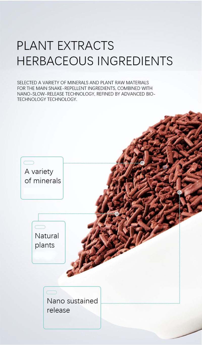 Curated visual reference: Picture Idea: The Best Snake Food For A Well Nourished Pet