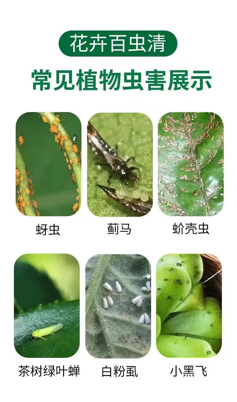 Botanical Insecticide General Pesticide Spray For Vegetables And ...