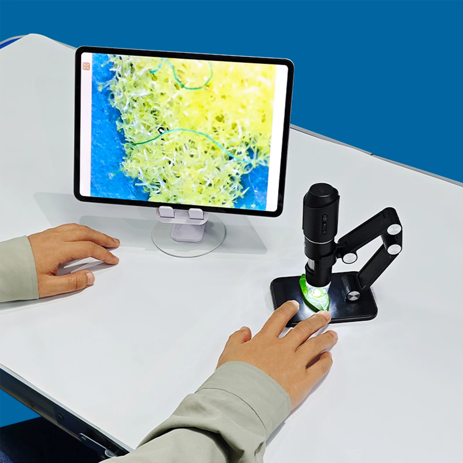 WiFi Digital Microscope 50x-1600x HD Magnifier with 8 LED Adjustable ...