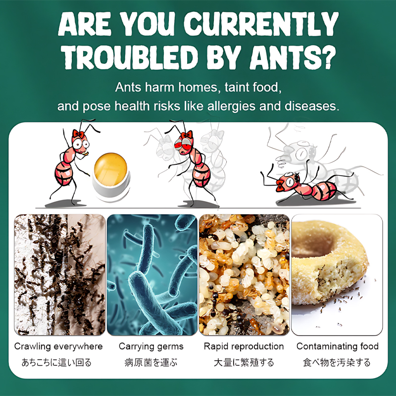 Ant insecticide（Box of 8 pills） ant bait ant killer ant colony dies new ...