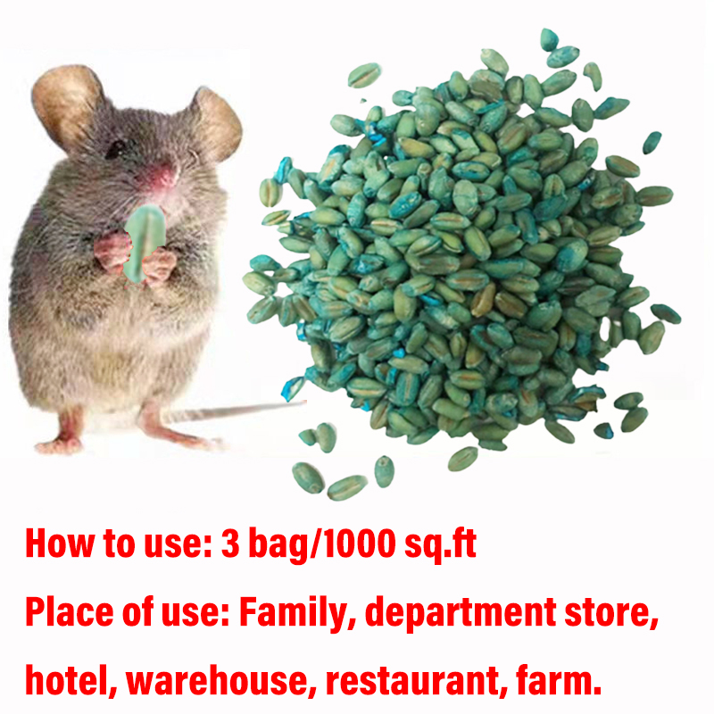 The Dead rat is dry and Does not stink racun tikus paling kuat ubat ...