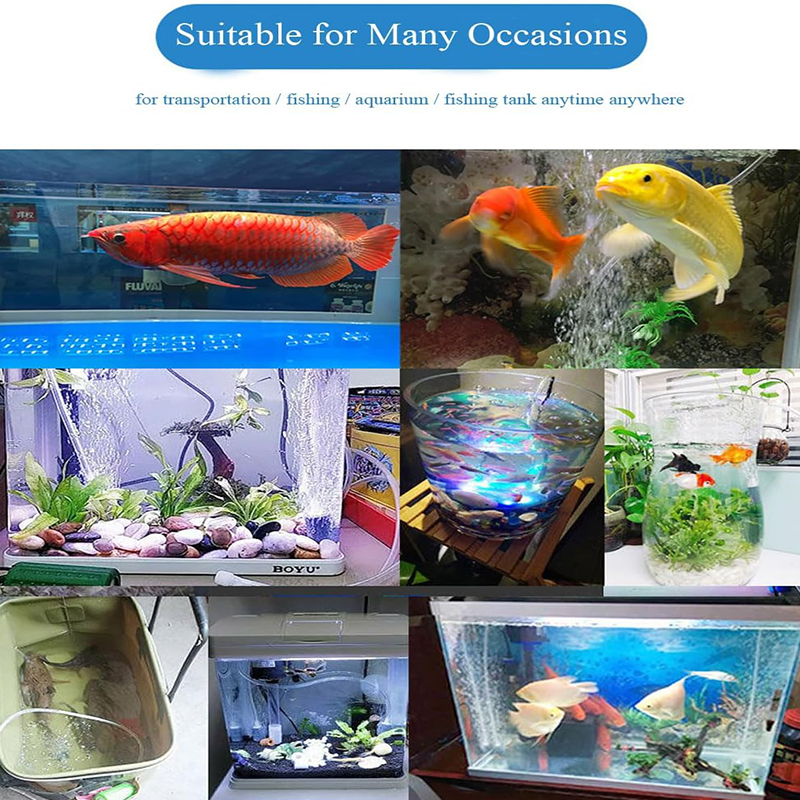 Photo inspiration: Gallery Detail: Aquamini Usb Portable Fish Tank Oxygen Pump Ultra Quiet Aquarium