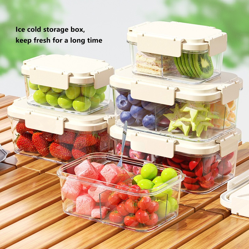 Fresh Keeping Box With Ice Box Food Grade Plastic Sealed Refrigerator ...