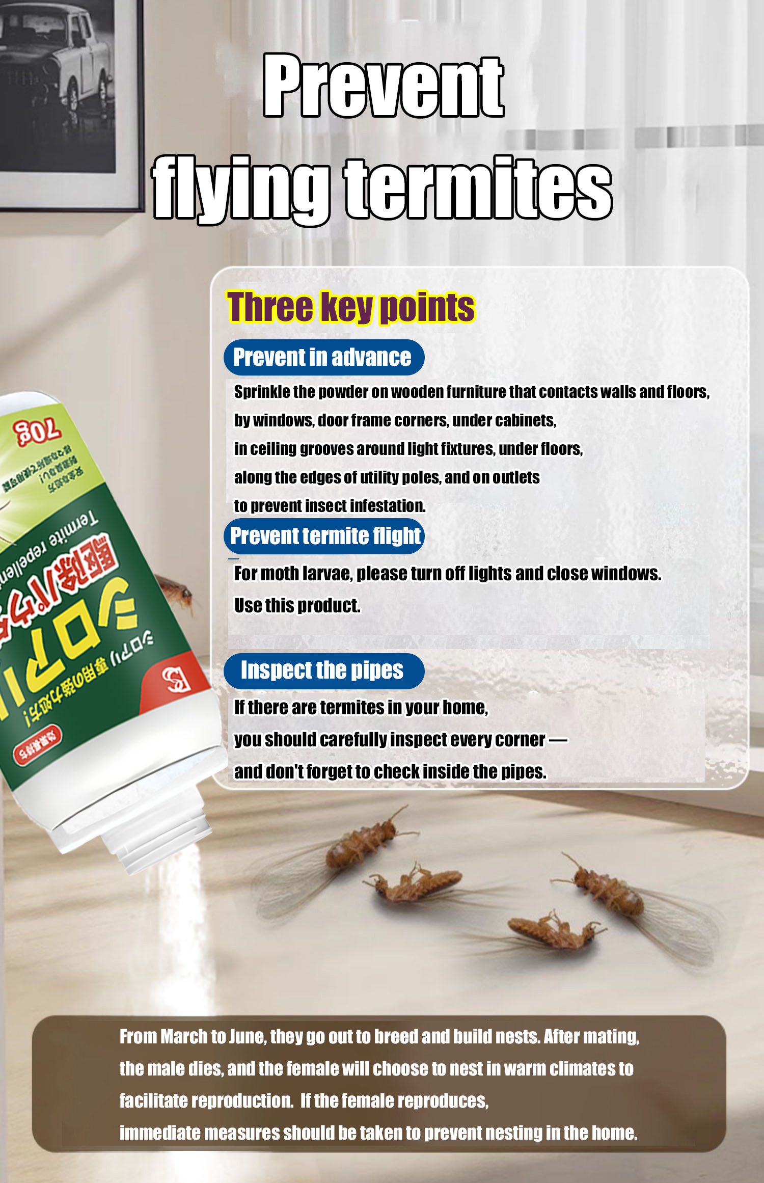 🐜 Termites wiped out entirely 🐜 ubat semut termite killer Termite Bait ...