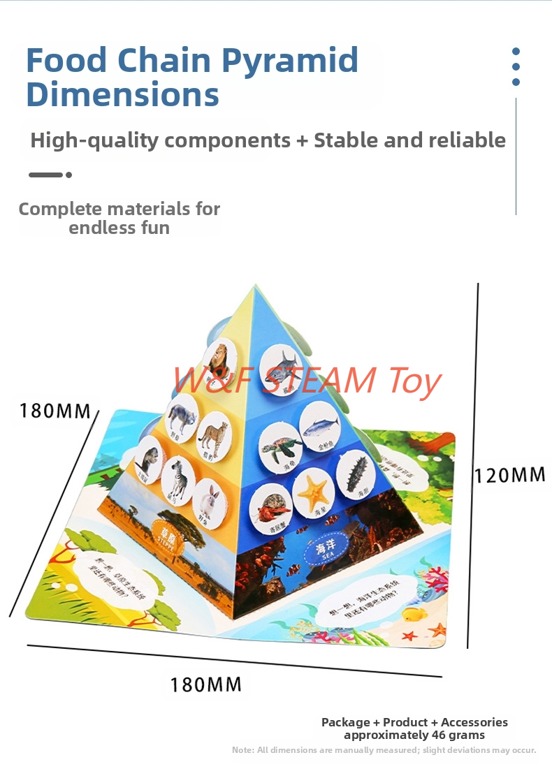 W&F Toy Food Chain Pyramid STEM Kit | 6+ DIY Science Experiment | Bahan ...