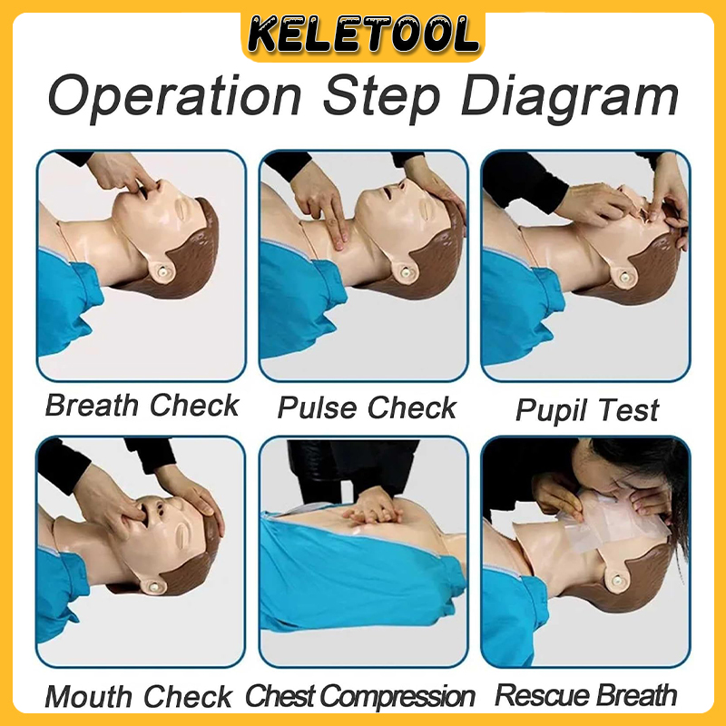 CPR Training Manikin Half Body Adult CPR Manikin Professional Adult ...