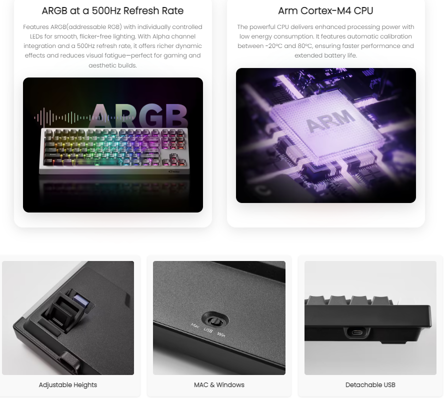 AKKO V3 HE TKL Layout Magnetic Keyboard with RT 8K RGB Gradient Hybrid ...