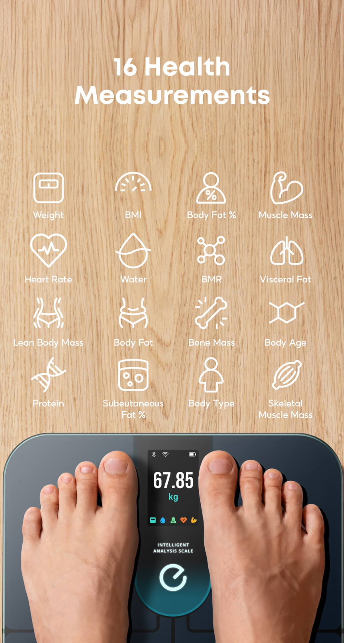 eufy by Anker P3 Digital Smart Scale, 16-Measurements, App Support ...