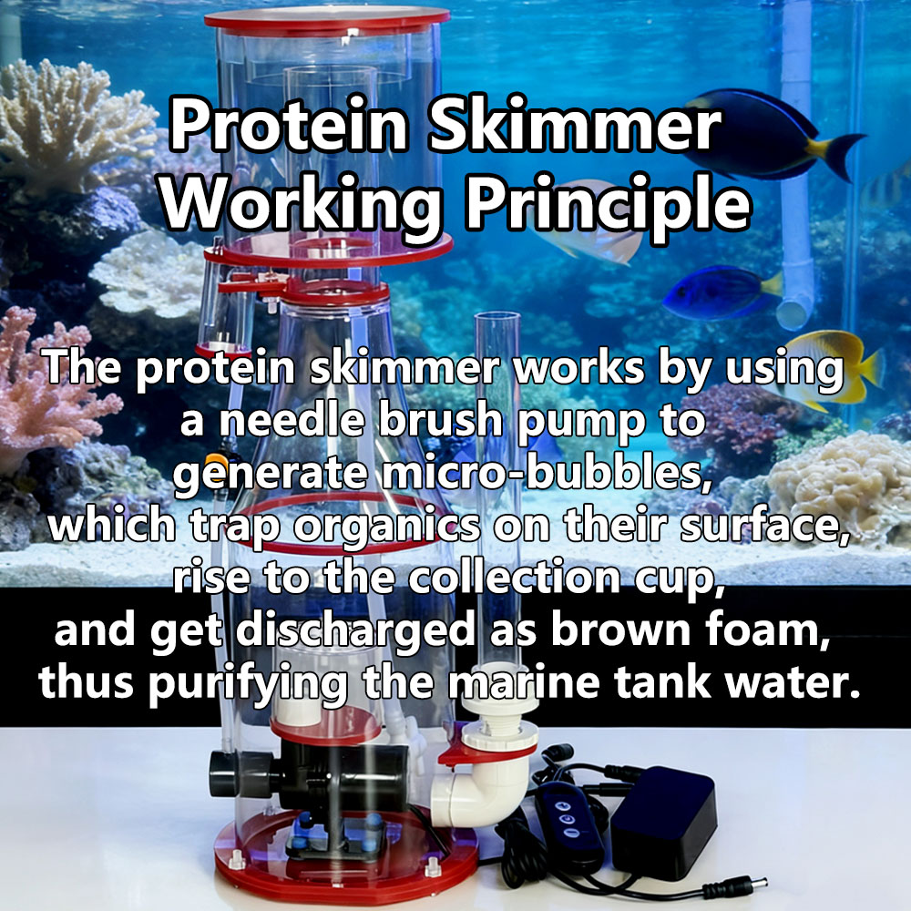 Marine Protein Skimmer Aquarium Filter Pump Efficient Quiet Home Farm ...