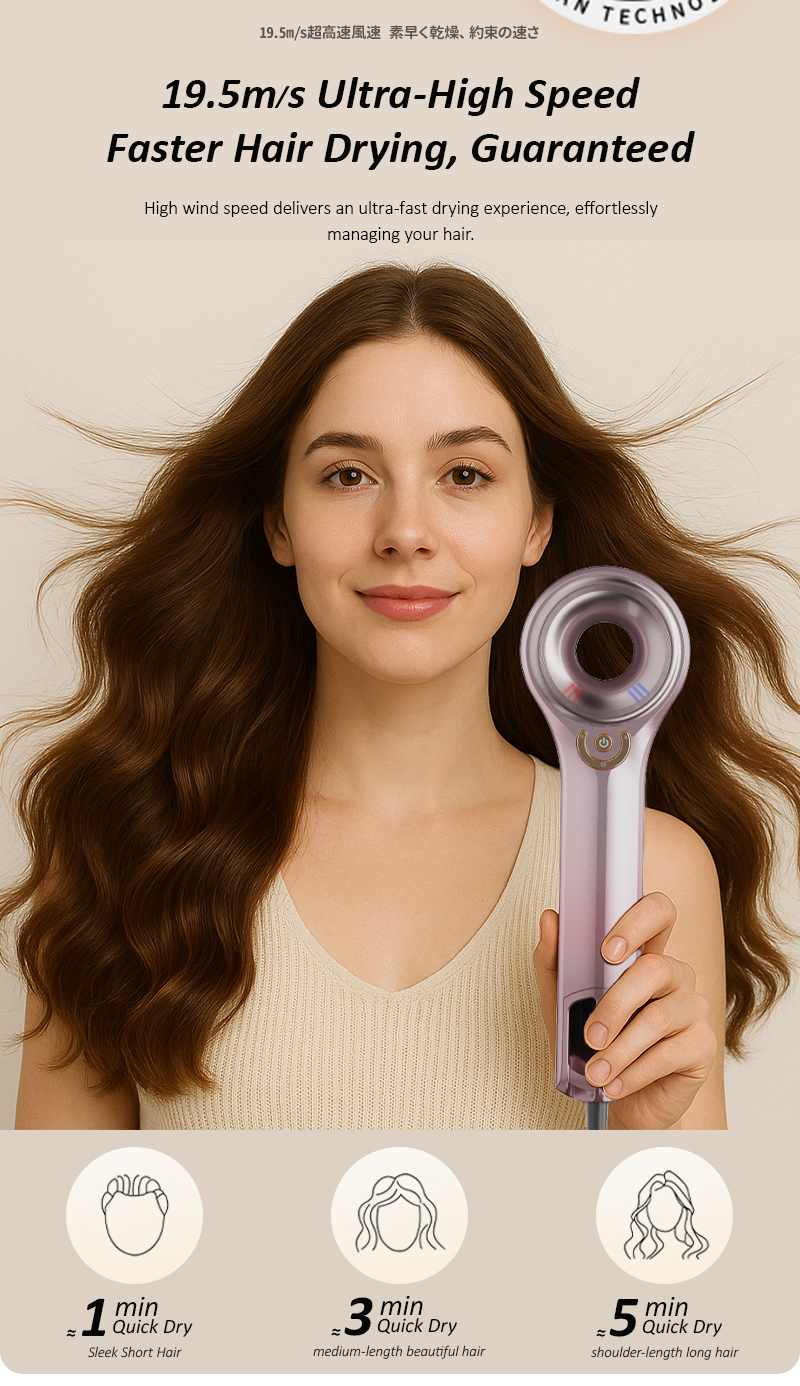 NIPLIFE Fast Drying Portable Mini Lightweight Water Ionic Plasma Hair ...