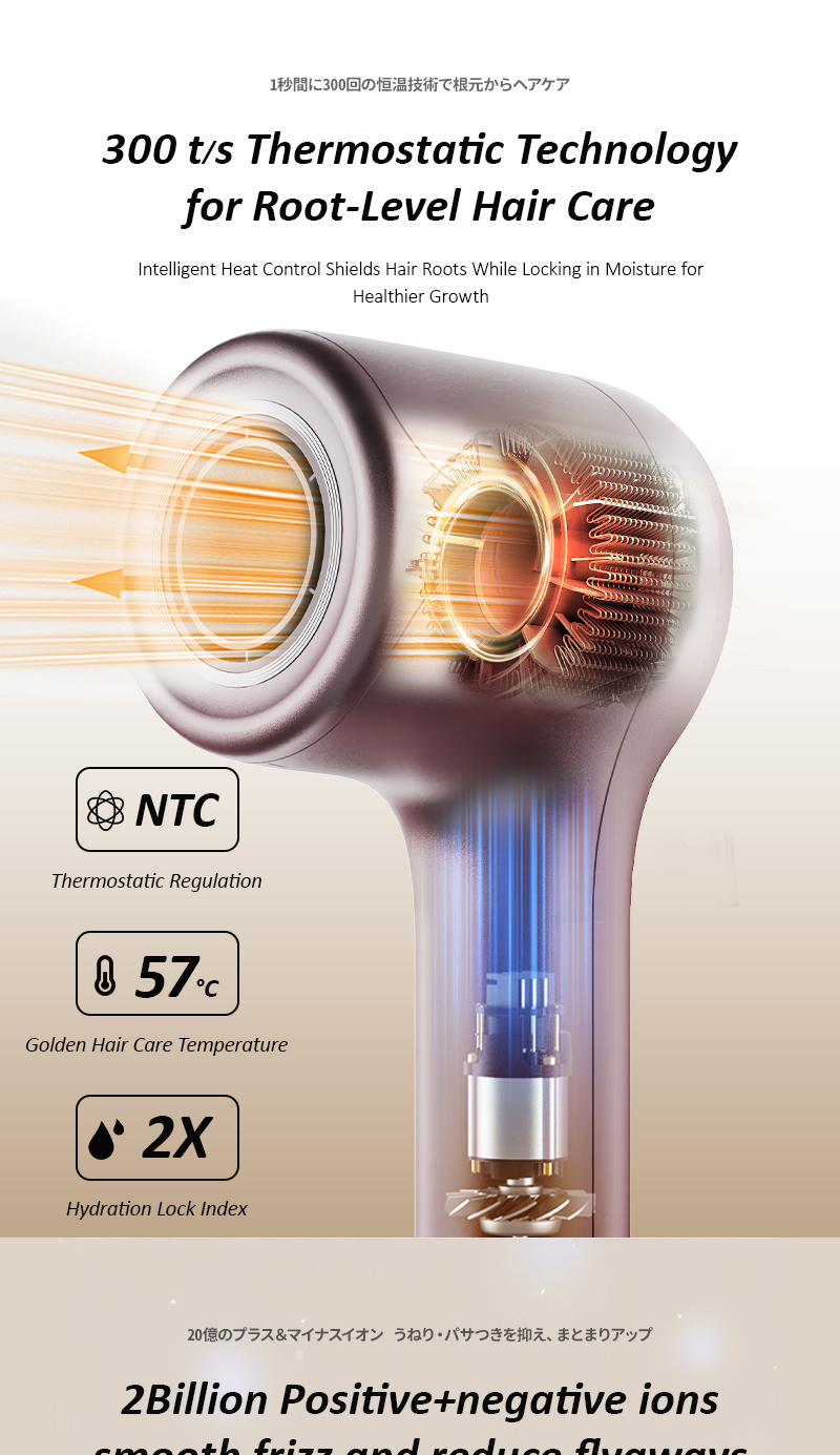 NIPLIFE Fast Drying Portable Mini Lightweight Water Ionic Plasma Hair ...