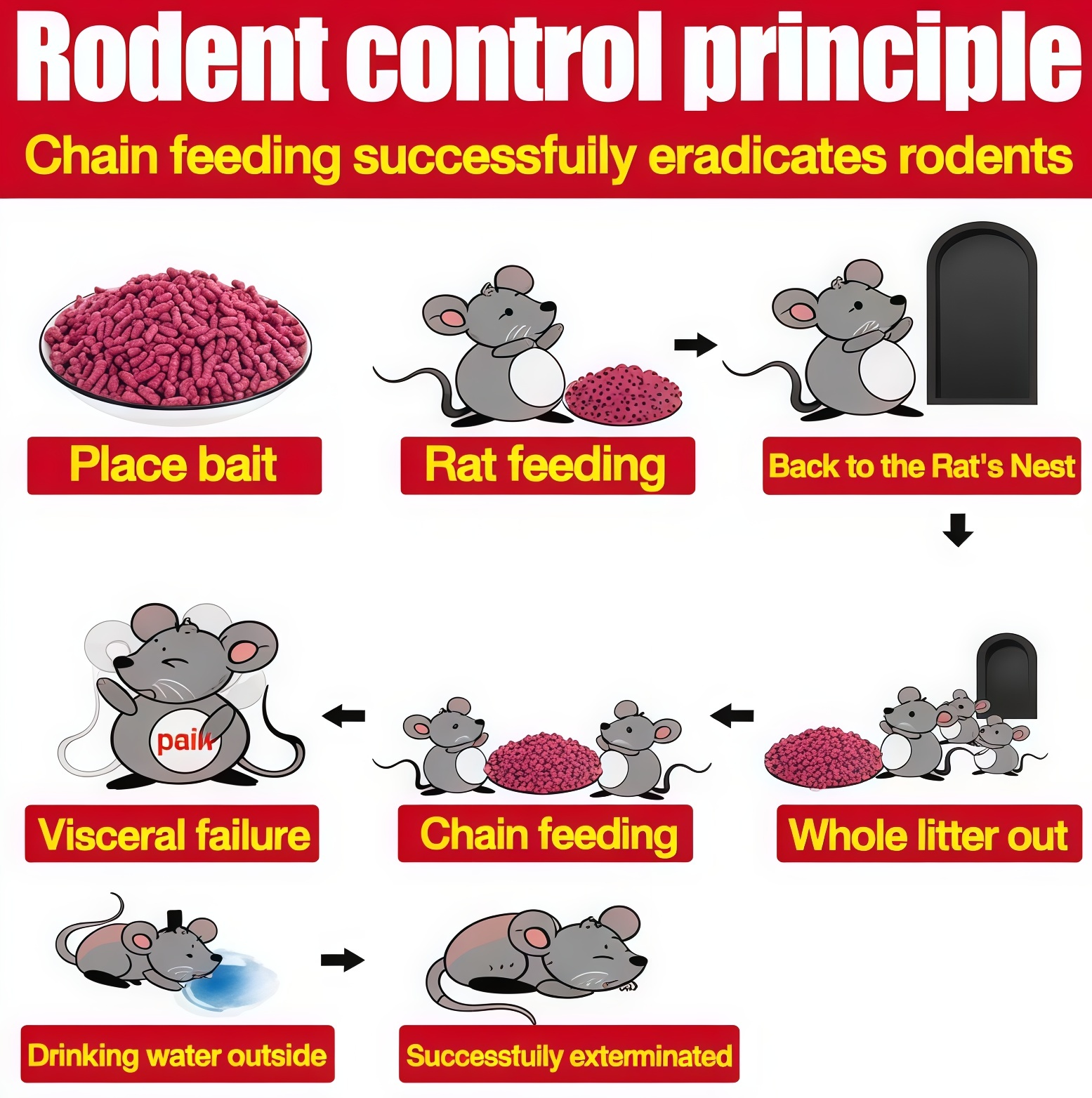 Death In 3 Seconds Strong Rat Poison Killer Eat One Pill Cause Organ ...