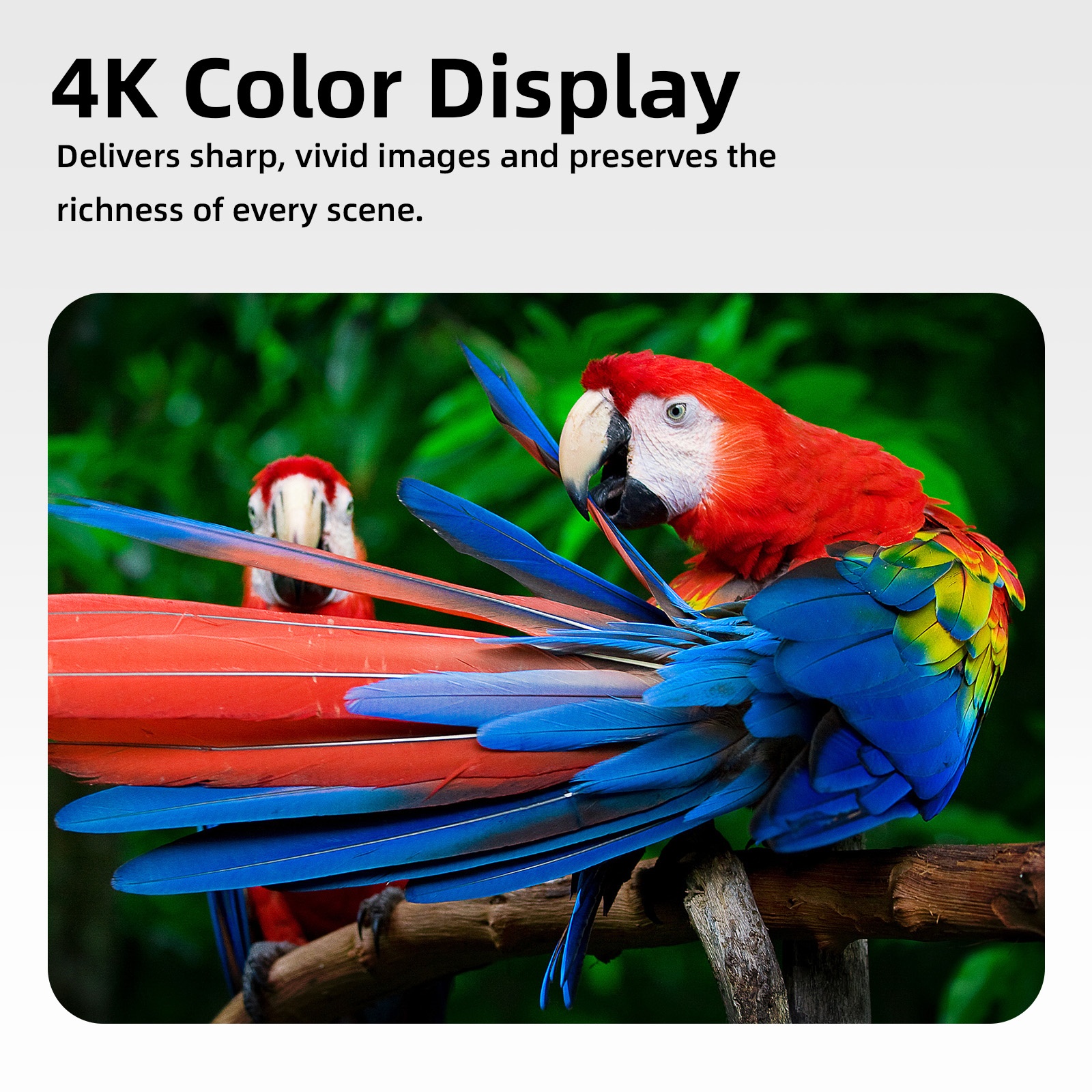 GOOJODOQ Anti-Light Projector Screen 4K Color Display Eye-Friendly ...