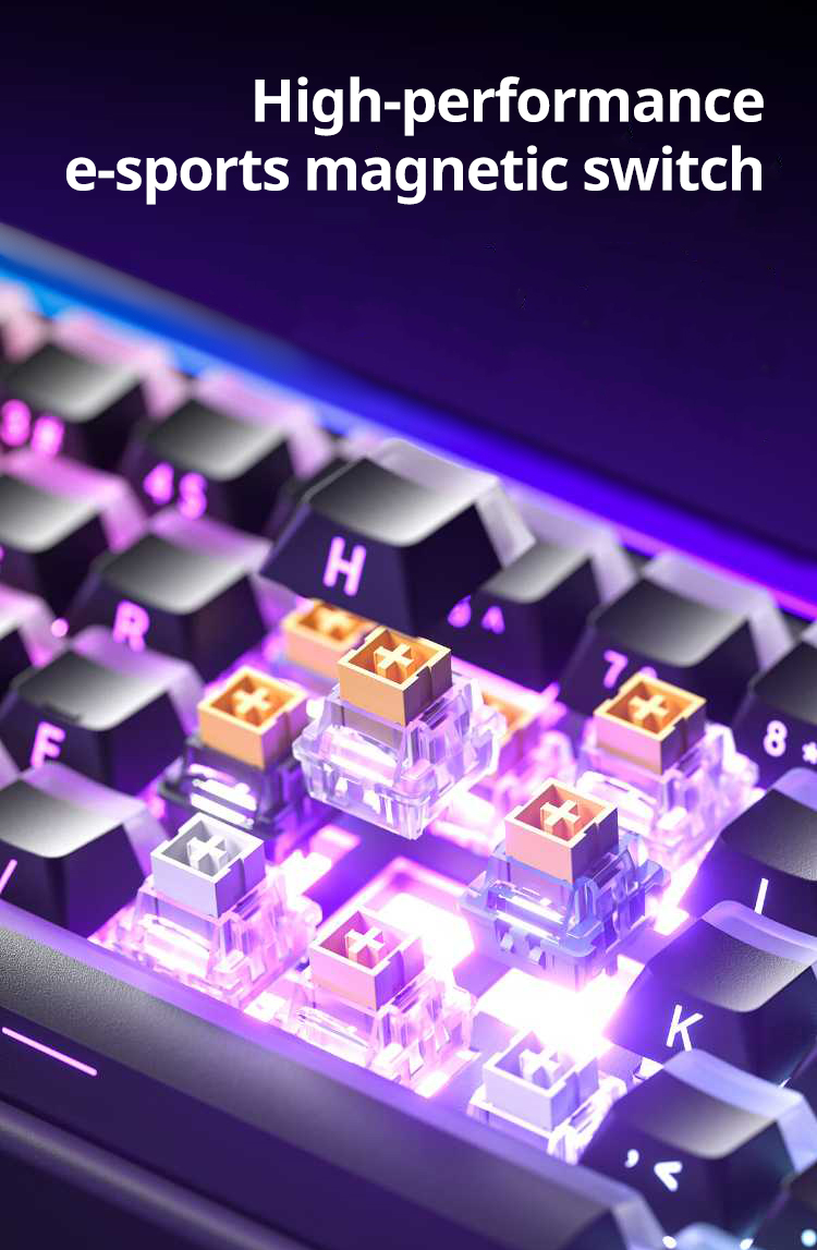 AULA HERO 68HE Wired RT Gaming Keyboard Customized Mechanical Keyboard ...