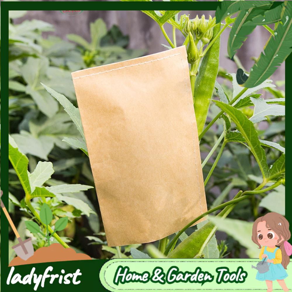 LDF 100 PCS Seed Envelopes Kraft Seed Paper Bags Mini Coin Packets ...