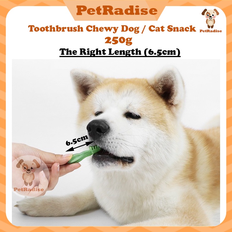 Dog store chewy toothbrush