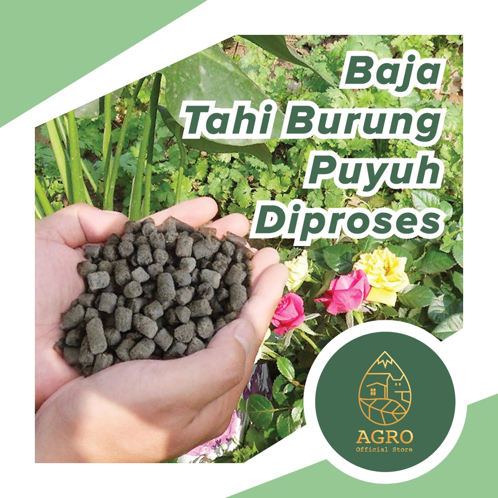 1KG Baja tahi ayam Tahi Burung puyuh Pellet subur