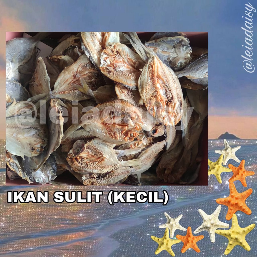 Ikan Masin Kering Sabah Gelama Sulit Yu Talang Liking Putih