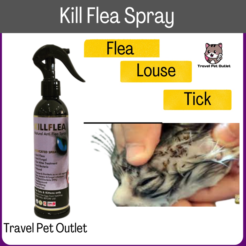 Pet Cat Dog Anti Mites Ticks Louse Flea Spot on Treatment Ubat Kutu ...