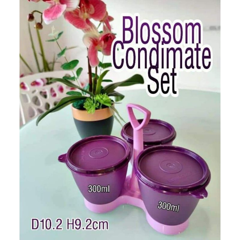 🔥Tupperware 🔥 Blossom Condimate | Shopee Malaysia