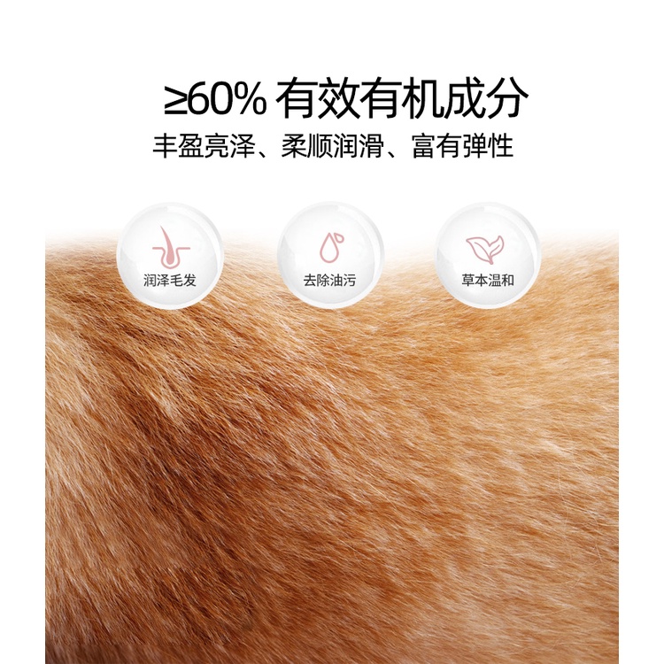 Cat Shower Gel Longhair Mite Sterilization Pet Bath Shampoo Ragdoll Special Shower Gel Small