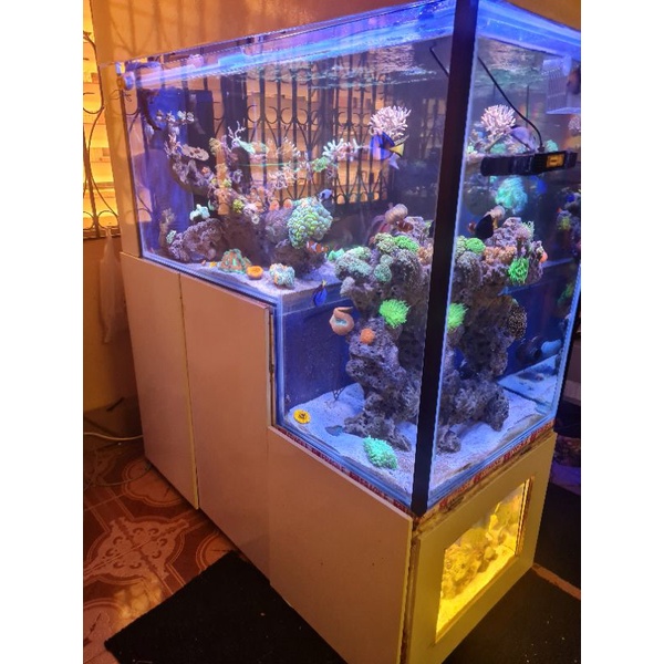 drop tank aquarium marine tank 4feet x 2feet x 2 feet | Shopee Malaysia