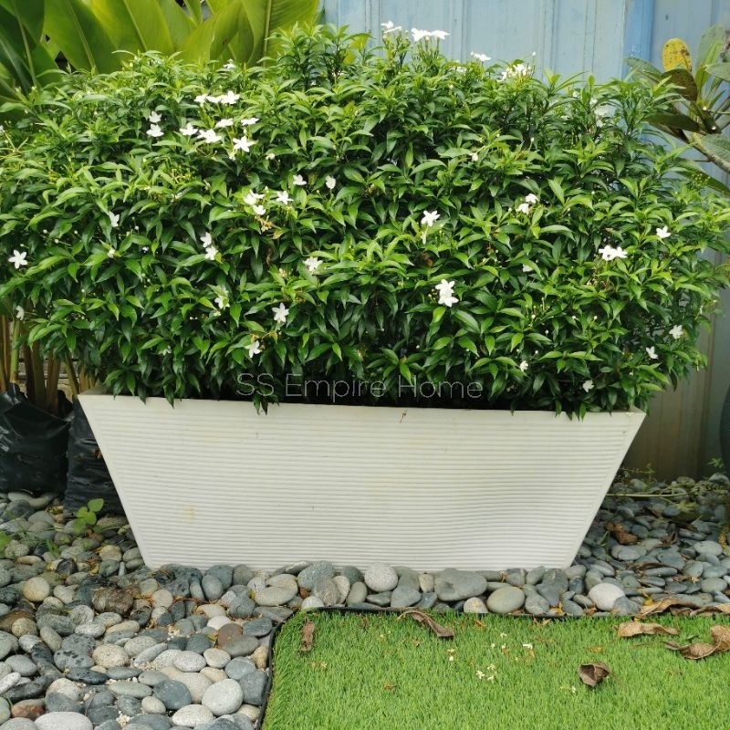 RICO Z2 Slant Line Planter box Fiberglass Flower Pot Pasu Bunga Garden ...