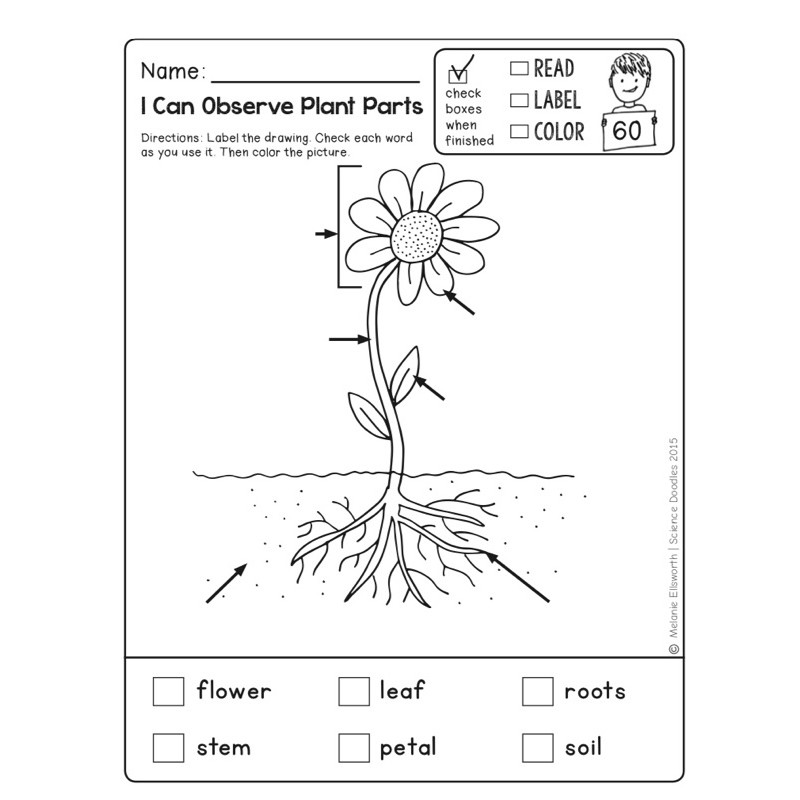 Printable My Kindergarden Science No-Prep Packet | Shopee Malaysia