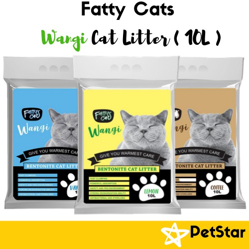 Fatty 2024 cat litter