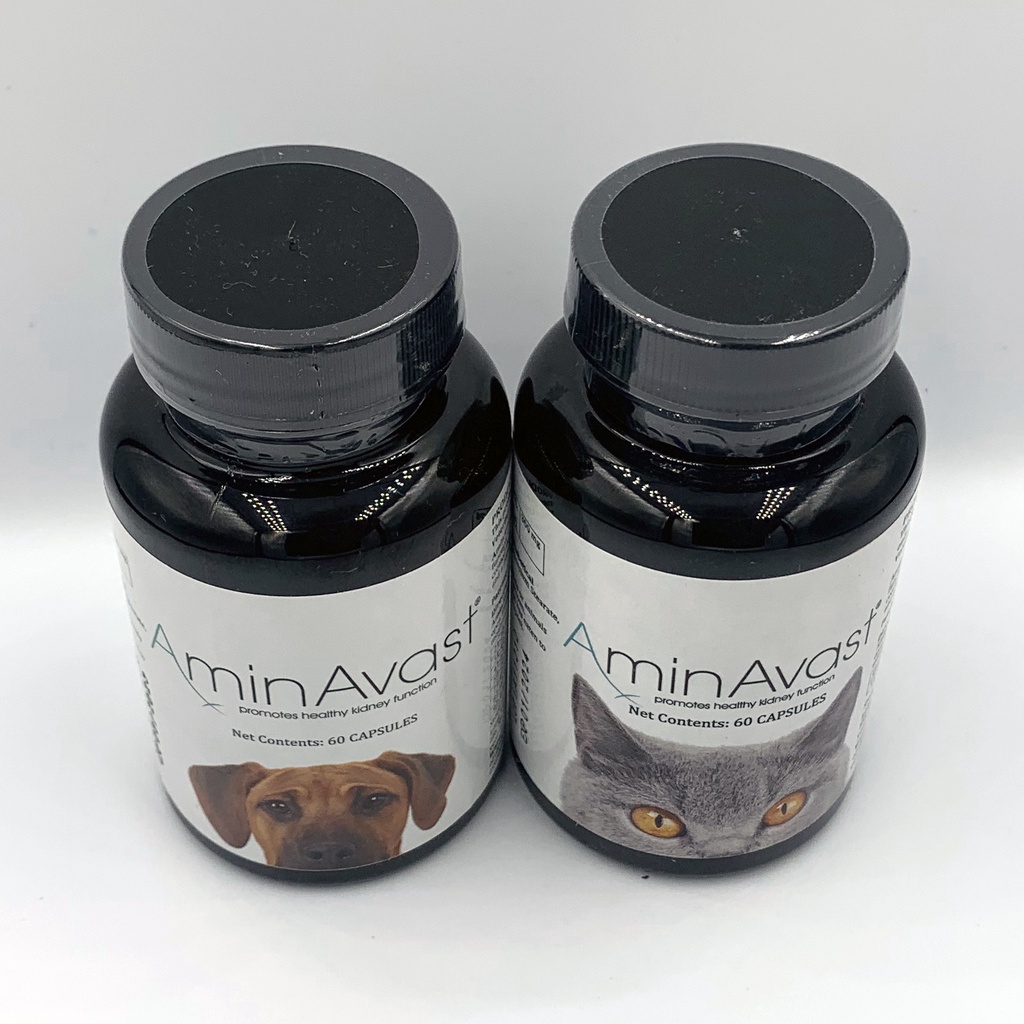 AminAvast Kidney Function Support for Cats Dogs easy to handle version of Azodyl Renal Essentials Shopee Malaysia