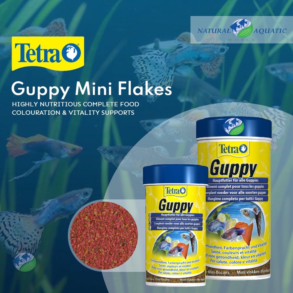 Tetra Guppy Mini Flakes 100ml 250ml FF-892 FF-989 | Shopee Malaysia