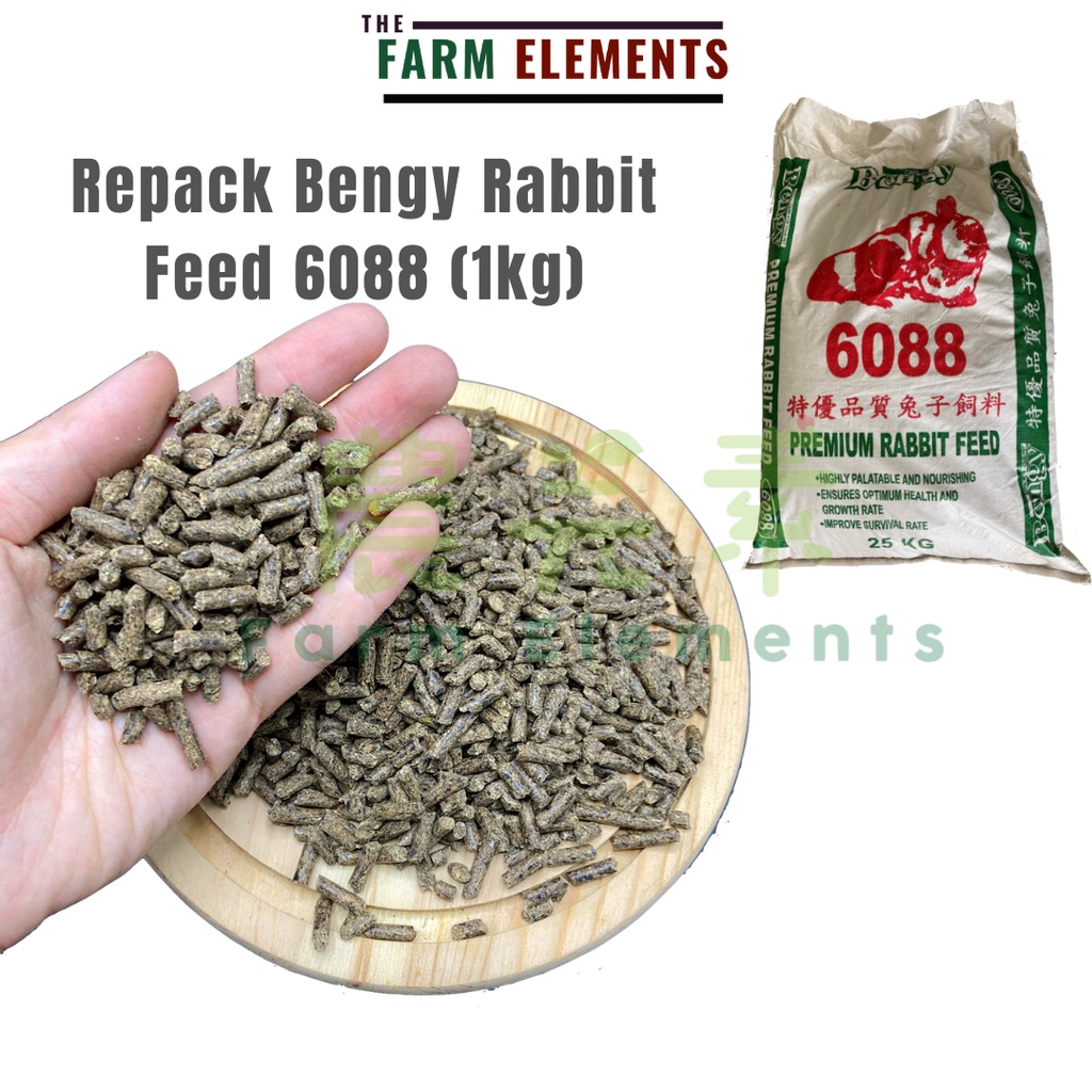 Repack Bengy Premium Rabbit Feed 6088 (1kg) Makanan Arnab Pellet Bengy ...