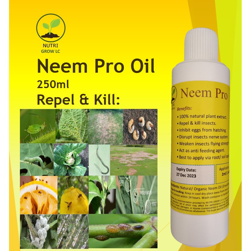 Neem Pro oil large 250ml very concentrated for 0.3 acres plants ...
