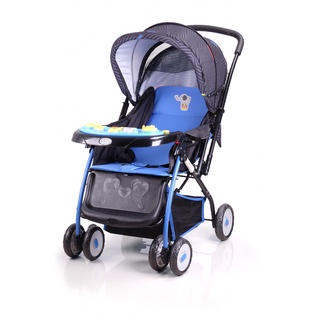 My 2025 dear stroller