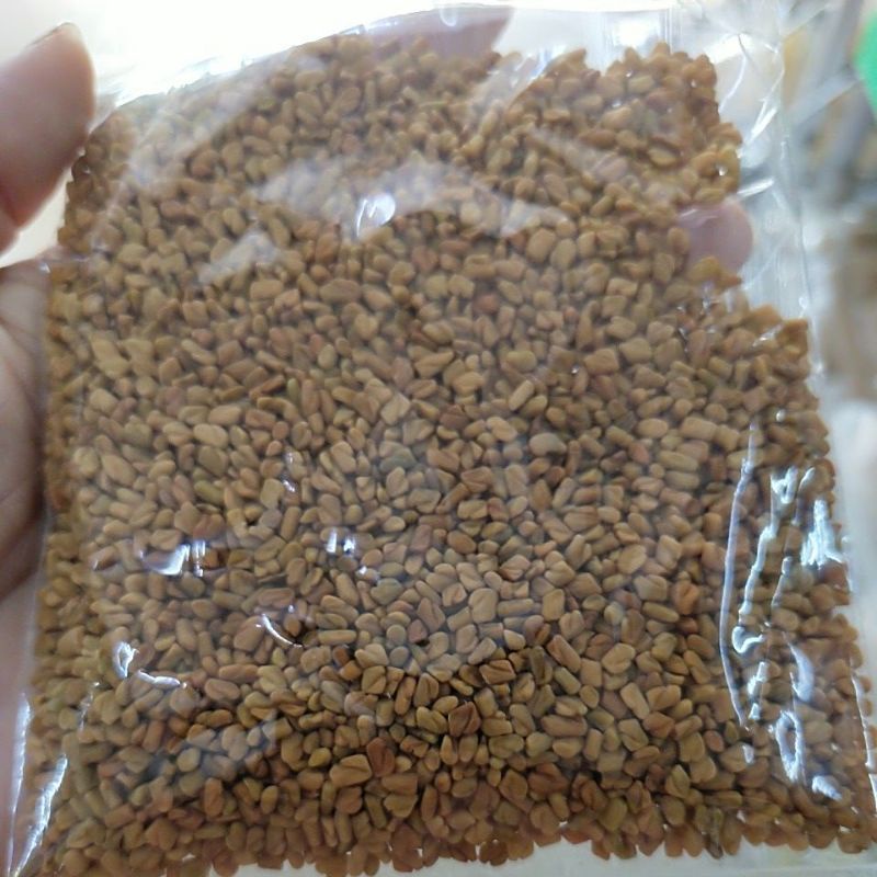 💥💥biji Halba Fenugreek Seeds 50gram Shopee Malaysia