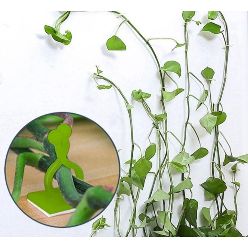 Invincible vine plant climbing wall fixtures sticky hook clip Shopee
